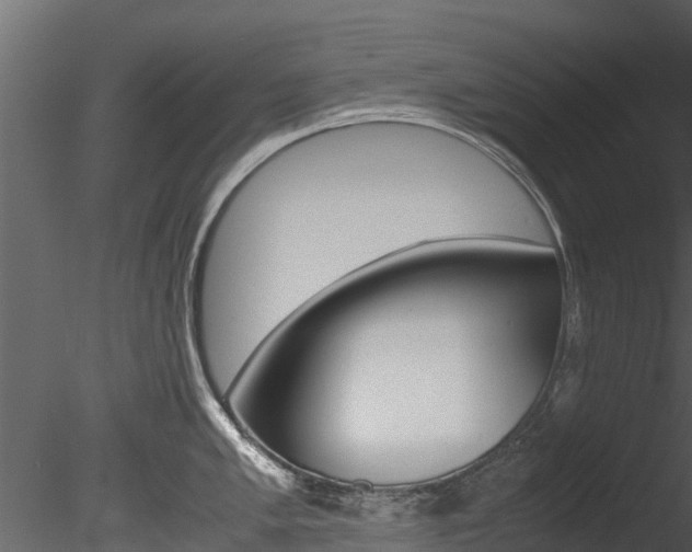 X0000085741005200703160858