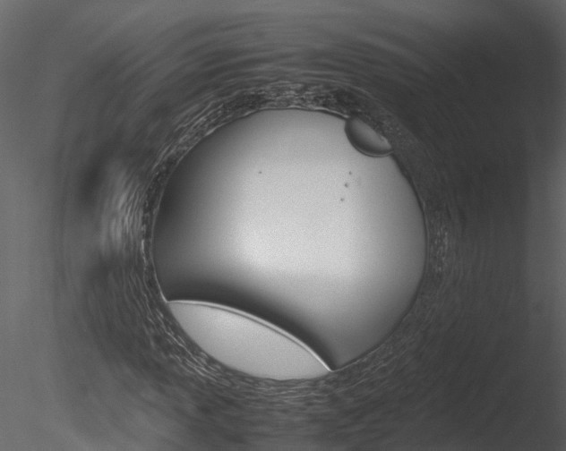 X0000085741013200703160857