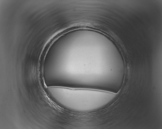 X0000085741020200703160857