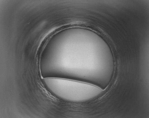 X0000085741021200703160857