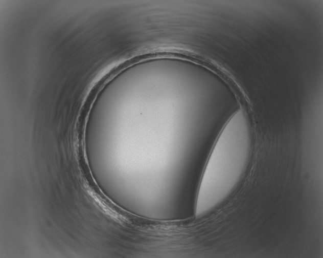 X0000085741024200703160857