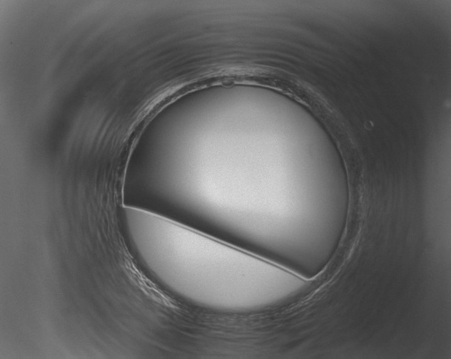 X0000085741025200703160857