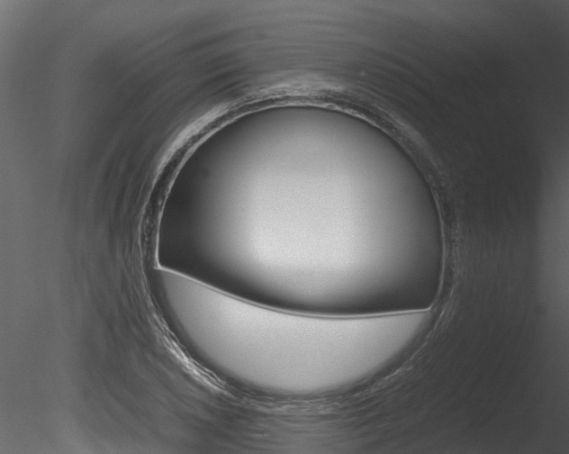 X0000085741026200703160857