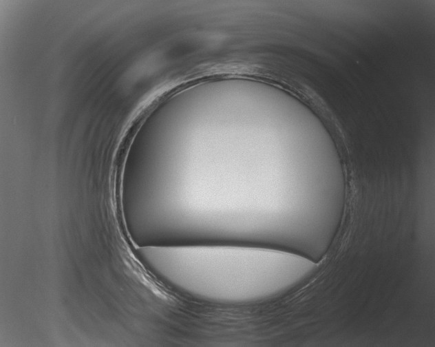 X0000085741035200703160858