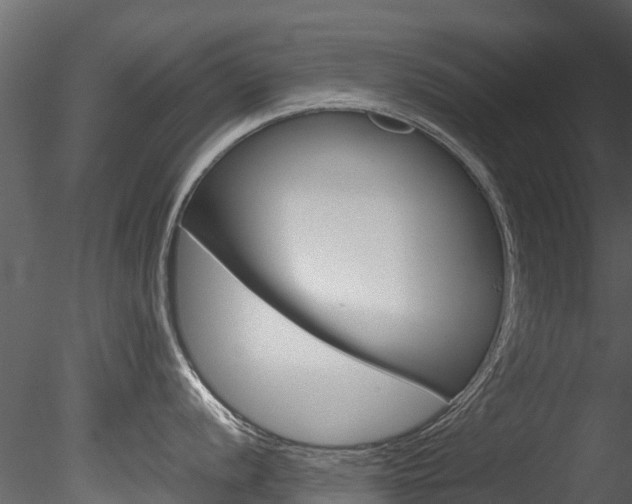 X0000085741056200703160858