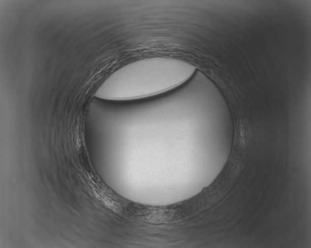 X0000085741060200703160857