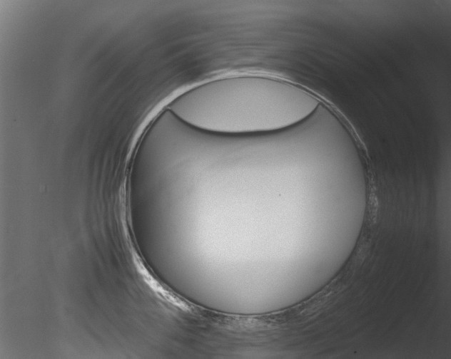 X0000085741100200703160856