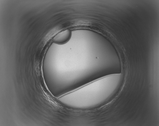 X0000085741113200703160856