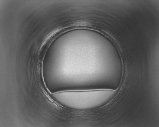 X0000085741115200703160856