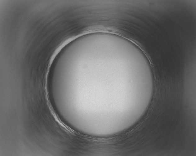 X0000085741128200703160856