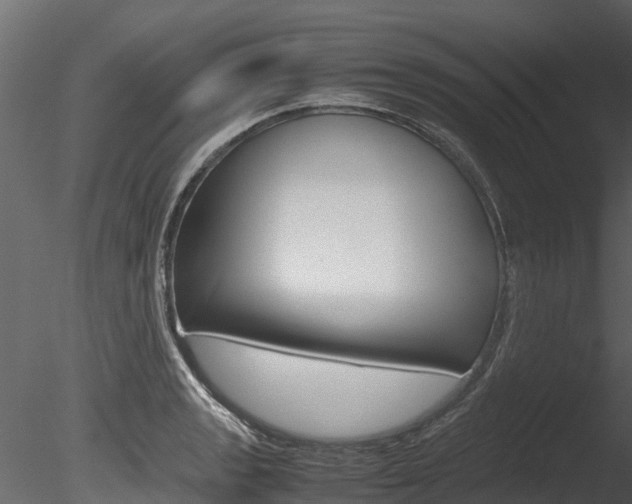 X0000085741133200703160856