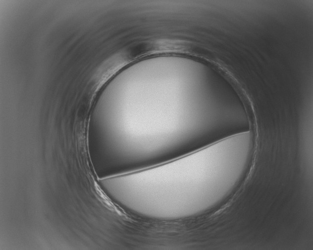 X0000085741137200703160856