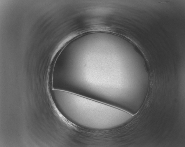 X0000085741139200703160856