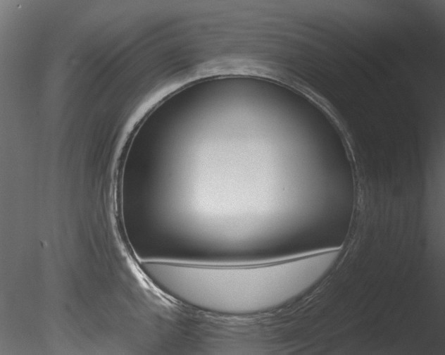 X0000085741144200703160856