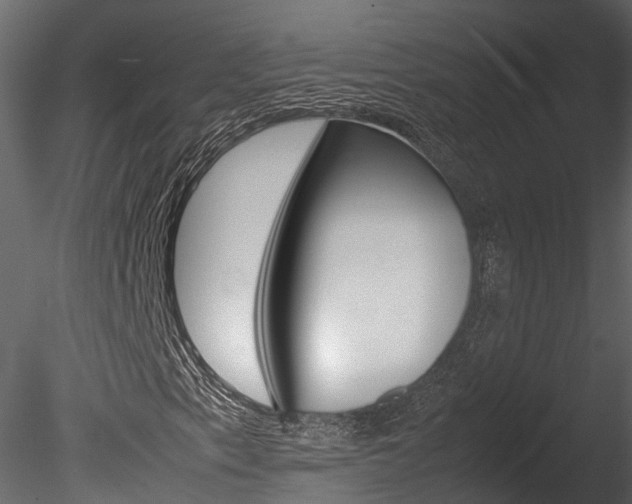 X0000085741153200703160855