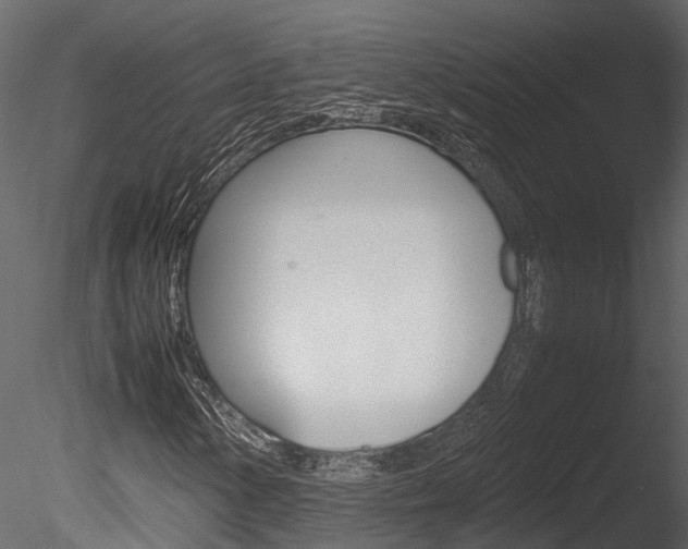X0000085741154200703160855