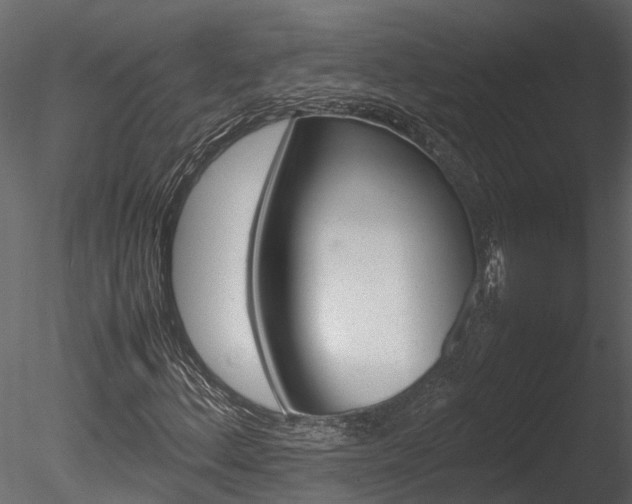 X0000085741156200703160855