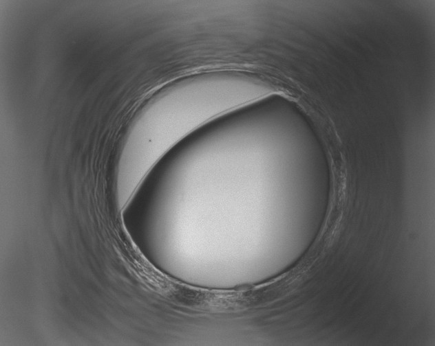 X0000085741161200703160855