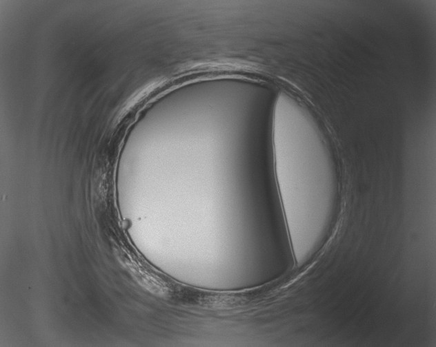 X0000085741163200703160855