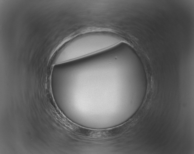 X0000085741165200703160855