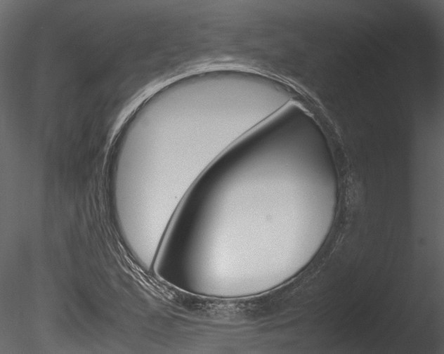 X0000085741167200703160855