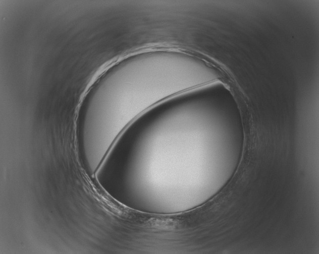 X0000085741168200703160855