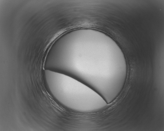 X0000085741170200703160855