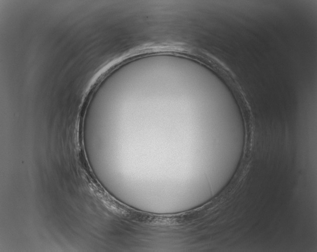 X0000085741174200703160855