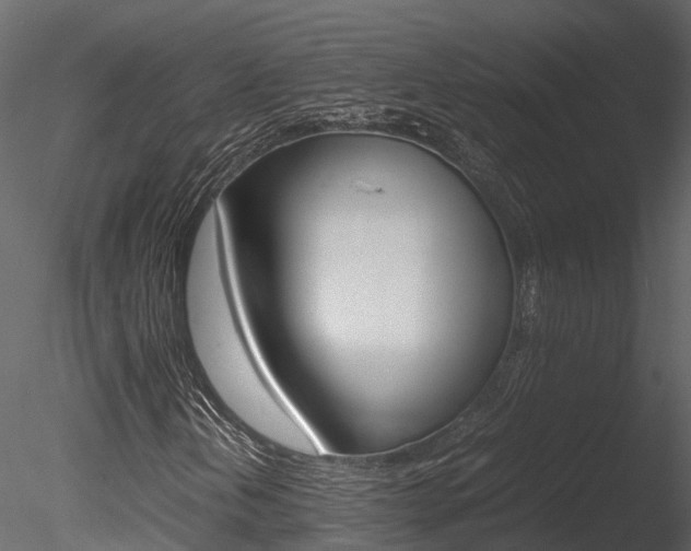 X0000085741202200703160854
