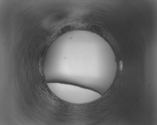 X0000085741203200703160854