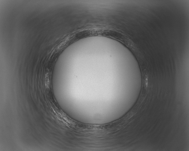 X0000085741204200703160854