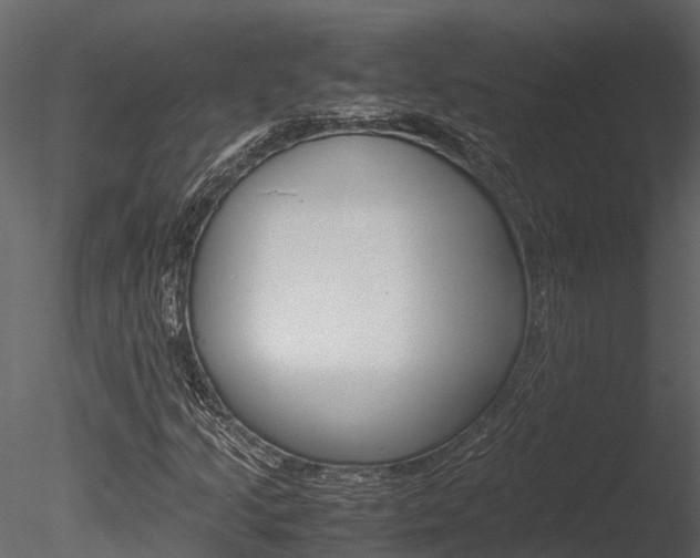 X0000085741205200703160854