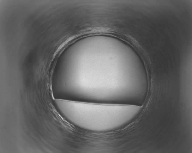 X0000085741212200703160854