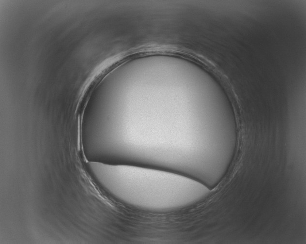 X0000085741223200703160854