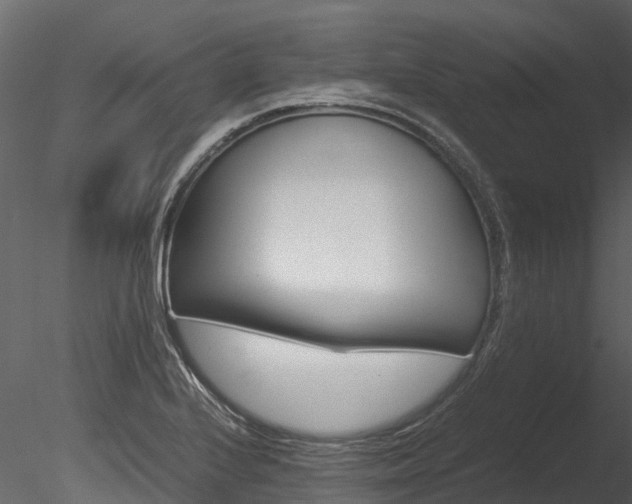 X0000085741224200703160854