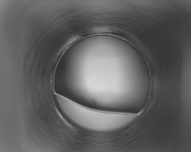 X0000085741225200703160854