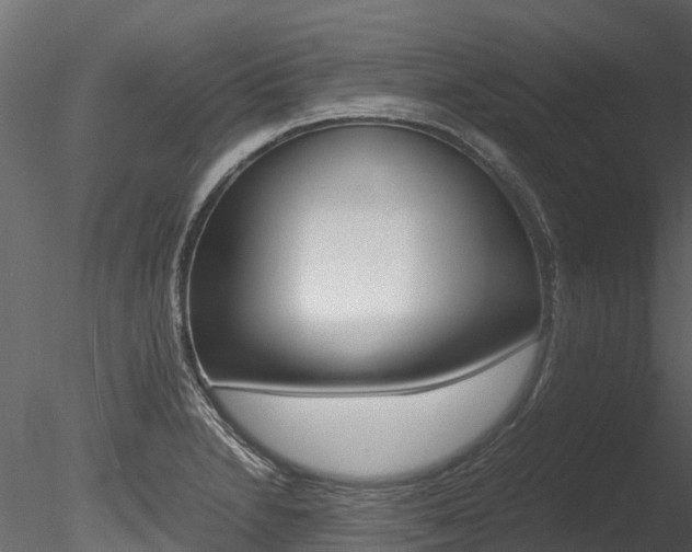 X0000085741230200703160854