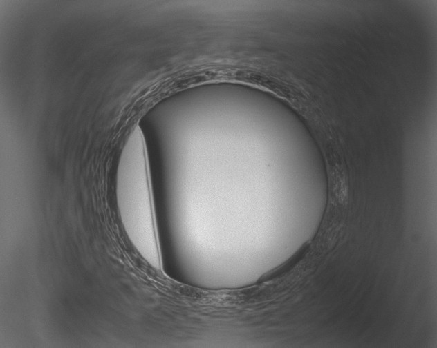 X0000085741253200703160854