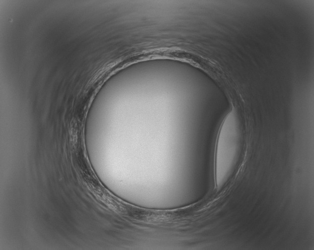 X0000085741257200703160854