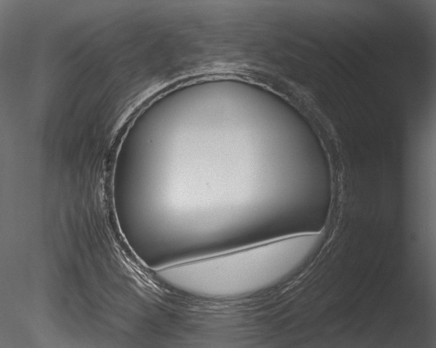 X0000085741260200703160854