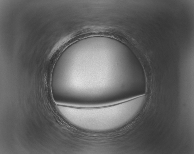 X0000085741261200703160854