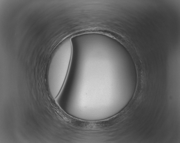 X0000085741265200703160854