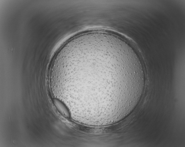 X0000085741279200703160853
