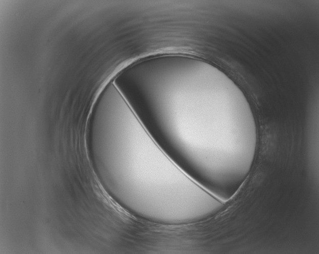 X0000085741284200703160853