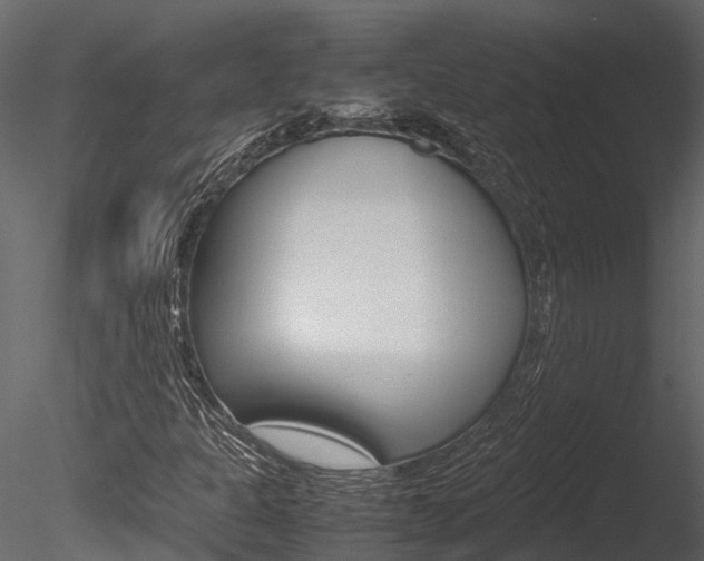 X0000085741301200703160852