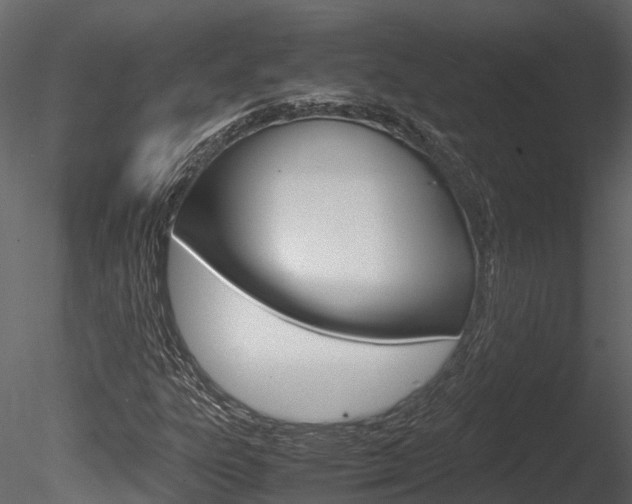 X0000085741303200703160852