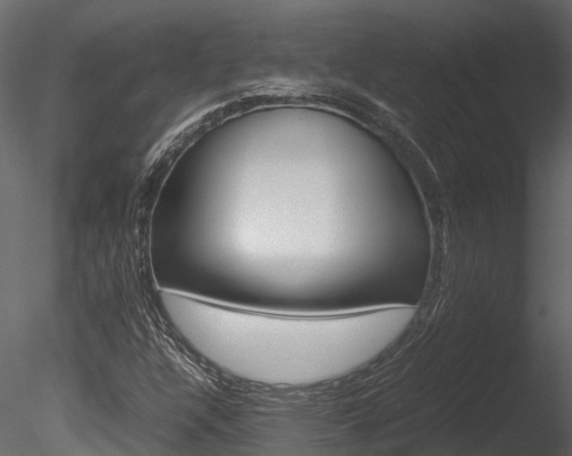 X0000085741304200703160852