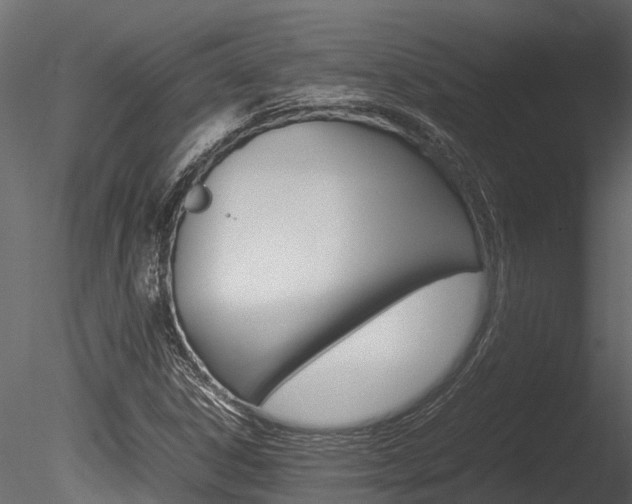X0000085741306200703160852