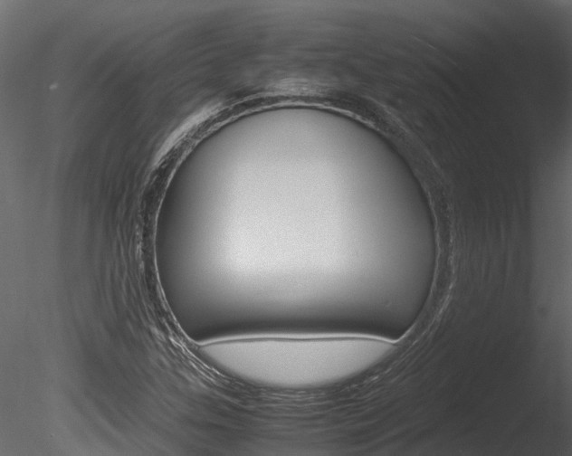 X0000085741307200703160852