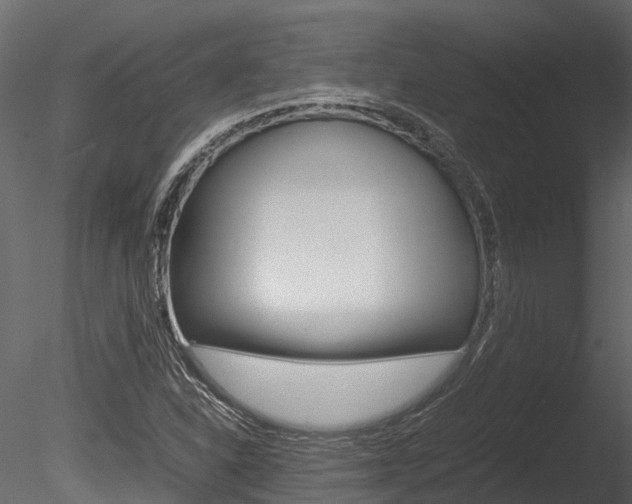 X0000085741310200703160852